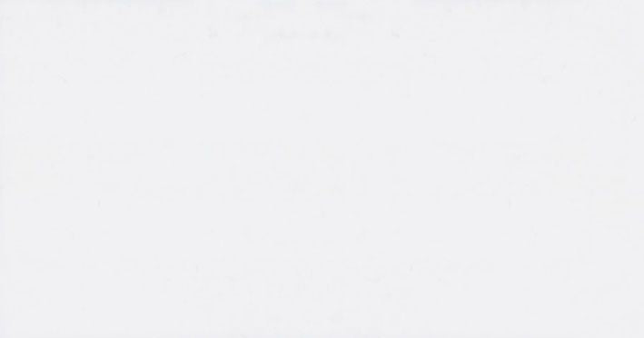 TAU SUN MT BLANCO 30X60CM WALL/MT SPAIN BX=1.62M2=17.44SF