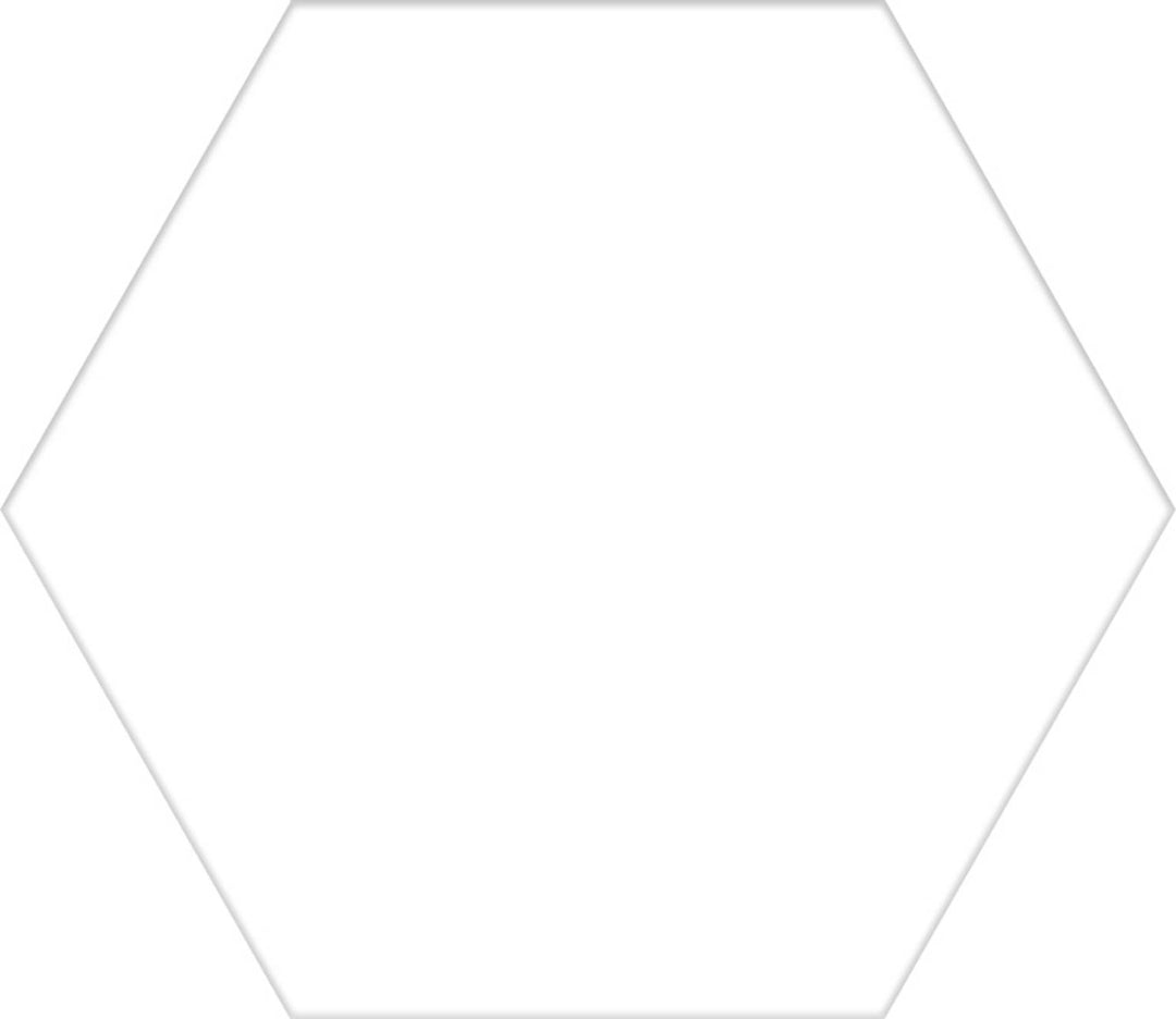 HEX BASIC WHITE 56X48.5cm POR/GL/MT SPAIN BX=1.2M2=12.92SF