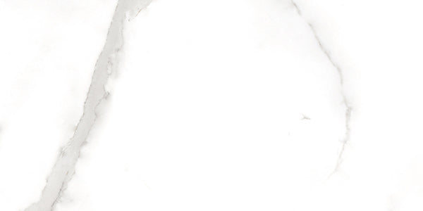CAVA BIANCO POL 30X60cm POR/GL/PL INDIA BX=0.90M2=9.69SF