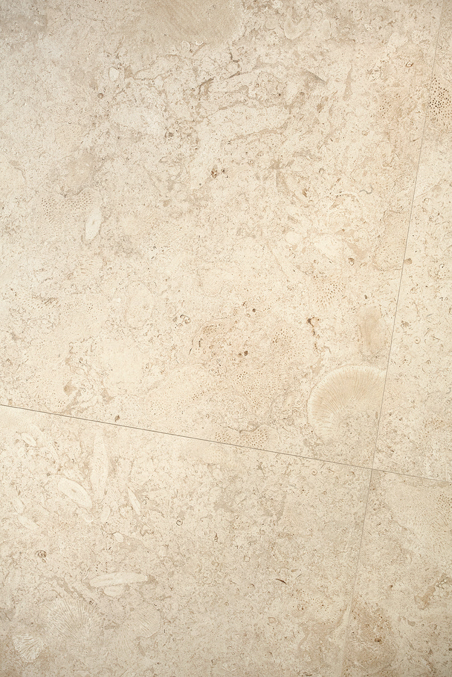 CORALINA BLANCO 80X80cm POR/GL/MT SPAIN BX=1.28M2=13.78SF