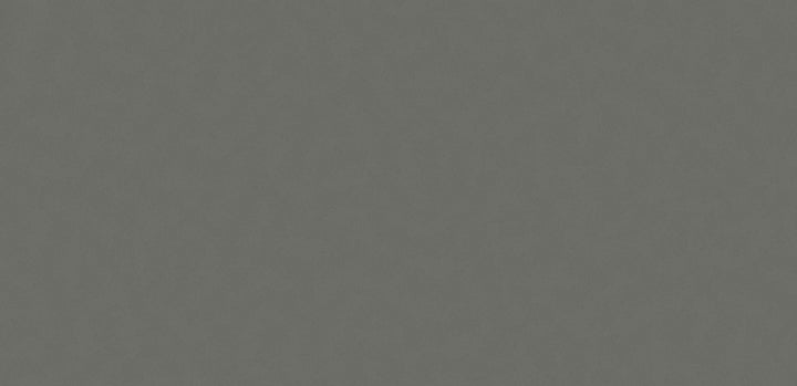 GRIS EXPO POLISHED SLAB 327X159X2cm  SPAIN