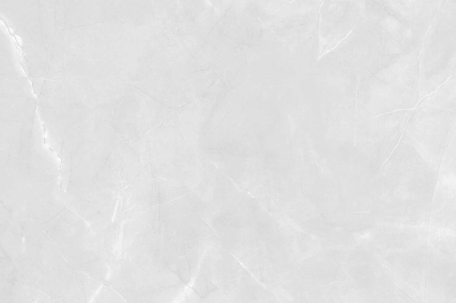 ARM IMPERIAL SILV 60X120cm POR/GL/PL INDIA BX=1.44M2=15.5SF