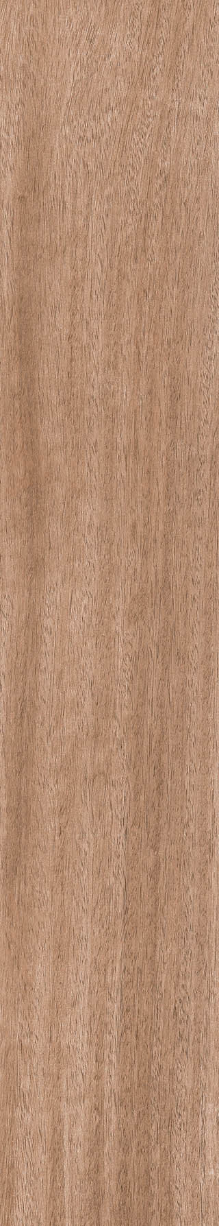 CALCA ROVERE MT 20X120cm POR/GL/MT INDIA BX=1.2M2=12.92SF
