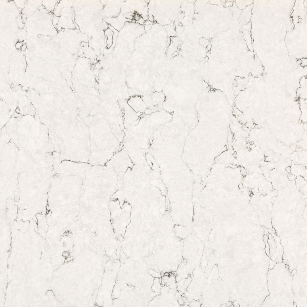 WHITE ARABESQUE POLISHED SLAB 326X158X2cm  SPAIN