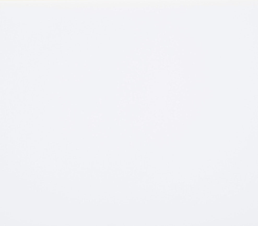 MIAMI WHITE HALF SLAB POLISHED SLAB 327X159X2cm  SPAIN