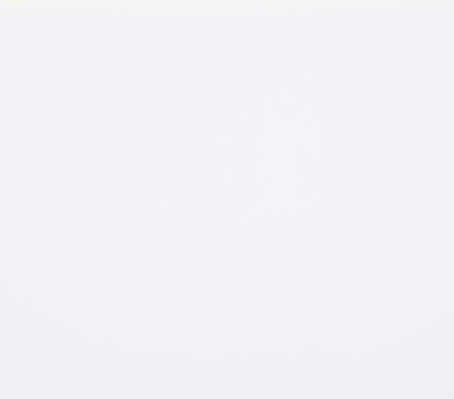 MIAMI WHITE HALF SLAB POLISHED SLAB 327X159X2cm  SPAIN