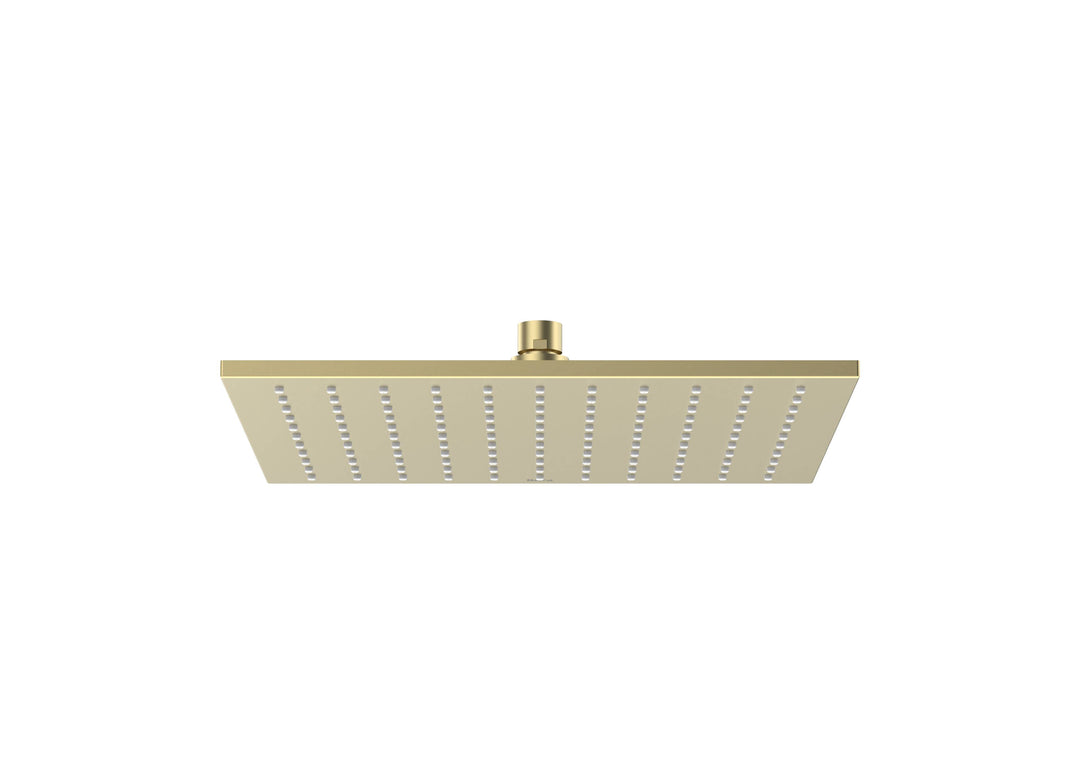 ACC SHOWER HEAD RAINDREAM 300X300MM BRUSHED BRASS