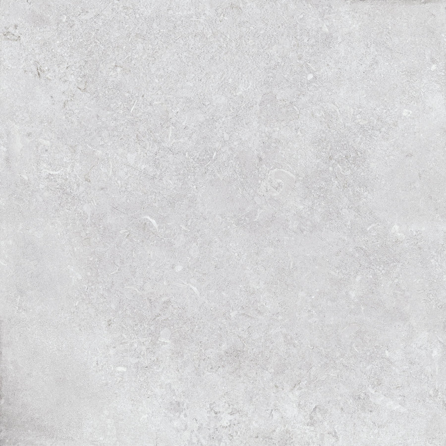 SHELLS GRIS 80X80cm POR/GL/MT BULGARIA BX=1.28M2=13.78SF