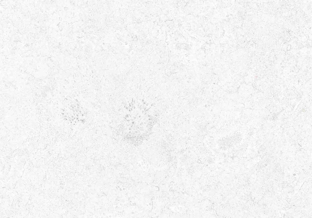 SAONA WHITE 44X66cm POR/GL/MT SPAIN BX=1.16M2=12.5SF