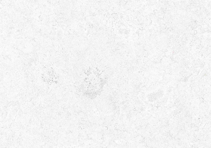 SAONA WHITE RD3 44X66cm POR/GL/MT SPAIN BX=1.16M2=12.5SF