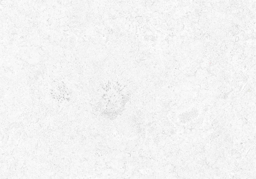 SAONA WHITE RD3 44X66cm POR/GL/MT SPAIN BX=1.16M2=12.5SF