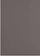 PYM SWING ANTRACIT 25X50cm WALL/MT SPAIN BX=2M2=21.53SF