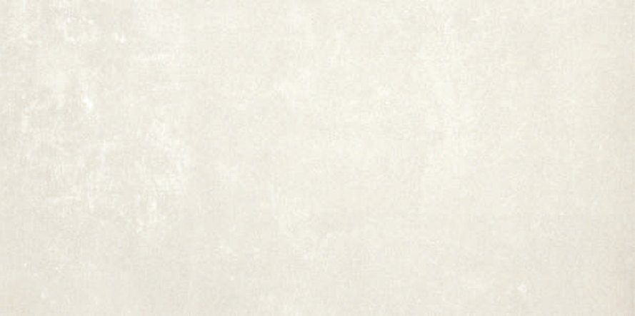 ASSEN WHITE MATE 25X40cm WALL/MT SPAIN BX=1.6M2=17.2SF