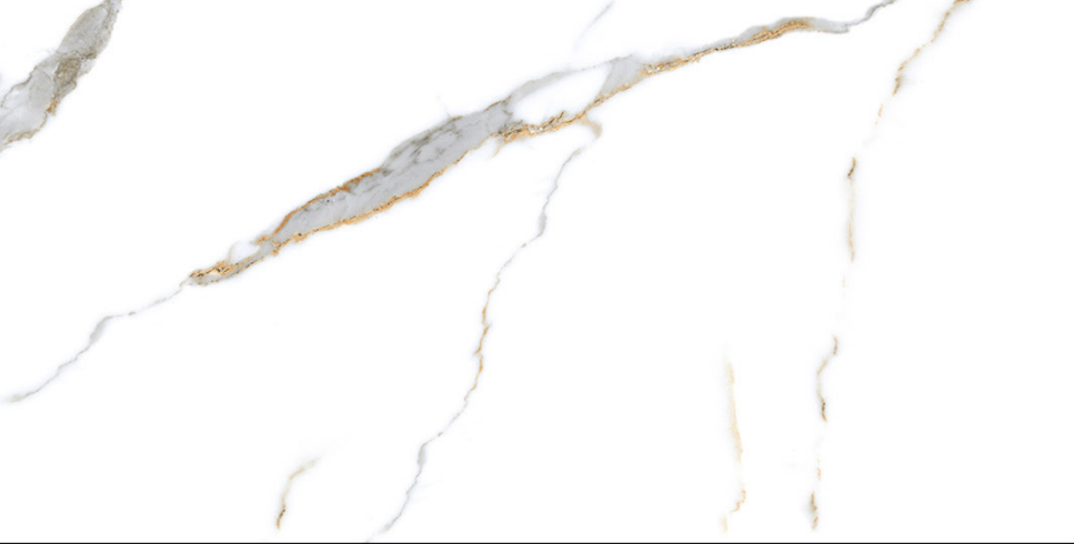 WI-4010 POL 60X120cm POR/GL/POL INDIA BX=1.44M2=15.5SF