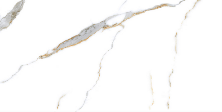 WI-4010 POL 60X120cm POR/GL/POL INDIA BX=1.44M2=15.5SF