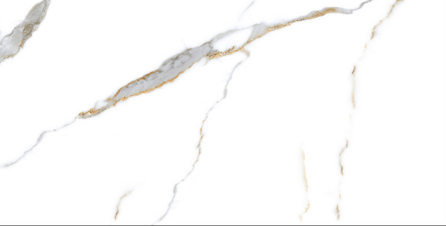 WI-4010 POL 60X120cm POR/GL/POL INDIA BX=1.44M2=15.5SF