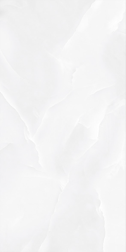 EX-285 GLOSSY 60X120cm POR/GL/POL INDIA BX=1.44M2=15.5SF