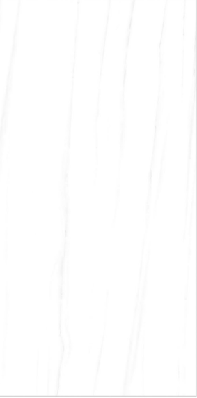 WI-US-75023 POL 60X120cm POR/GL/POL INDIA BX=1.44M2=15.5SF