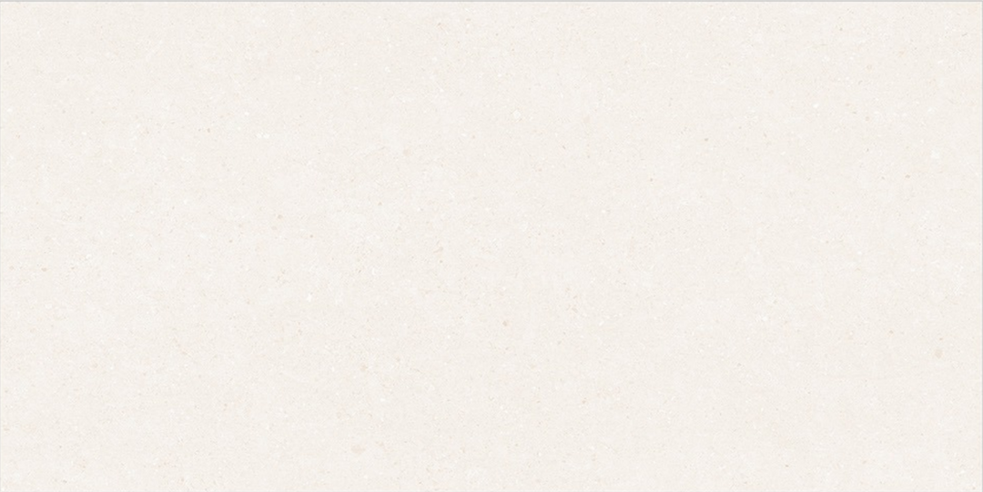 EX-NW-018-LT MATT 30X60cm WALL/MT INDIA BX=0.9M2=9.69SF