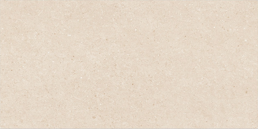 EX-NW-018-DK MATT 30X60cm WALL/MT INDIA BX=0.9M2=9.69SF