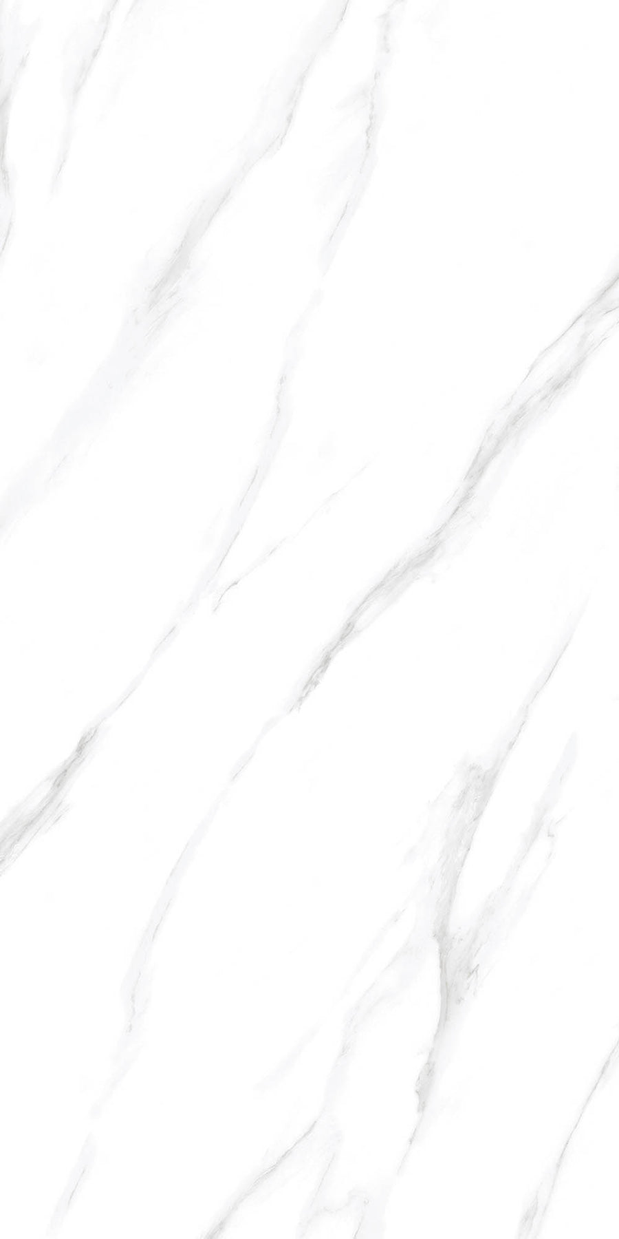 SENSO WHITE GLOSSY 60X120cm POR/GL/PL INDIA BX=1.44M2=15.5SF