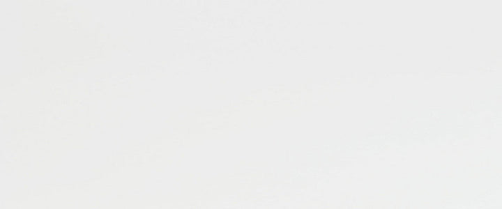 BLANCO MATE 25X60cm WALL/MT SPAIN BX=1.05M2=11.3SF