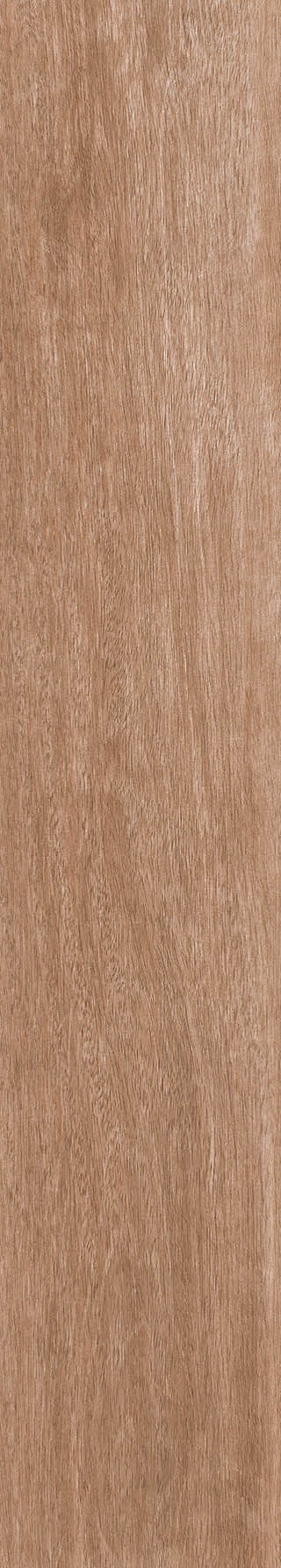 CALCA ROVERE MT 20X120cm POR/GL/MT INDIA BX=1.2M2=12.92SF