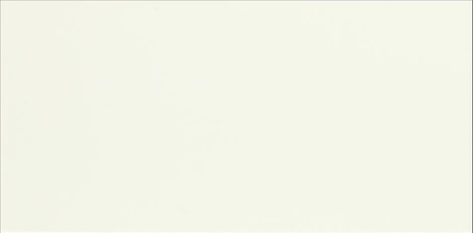 ASPEN BLANCO BRILLO 25X50cm WALL/BR SPAIN BX=1.63M2=17.49SF