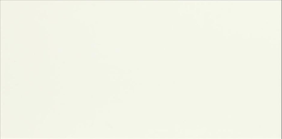 ASPEN BLANCO BRILLO 25X50cm WALL/BR SPAIN BX=1.63M2=17.49SF