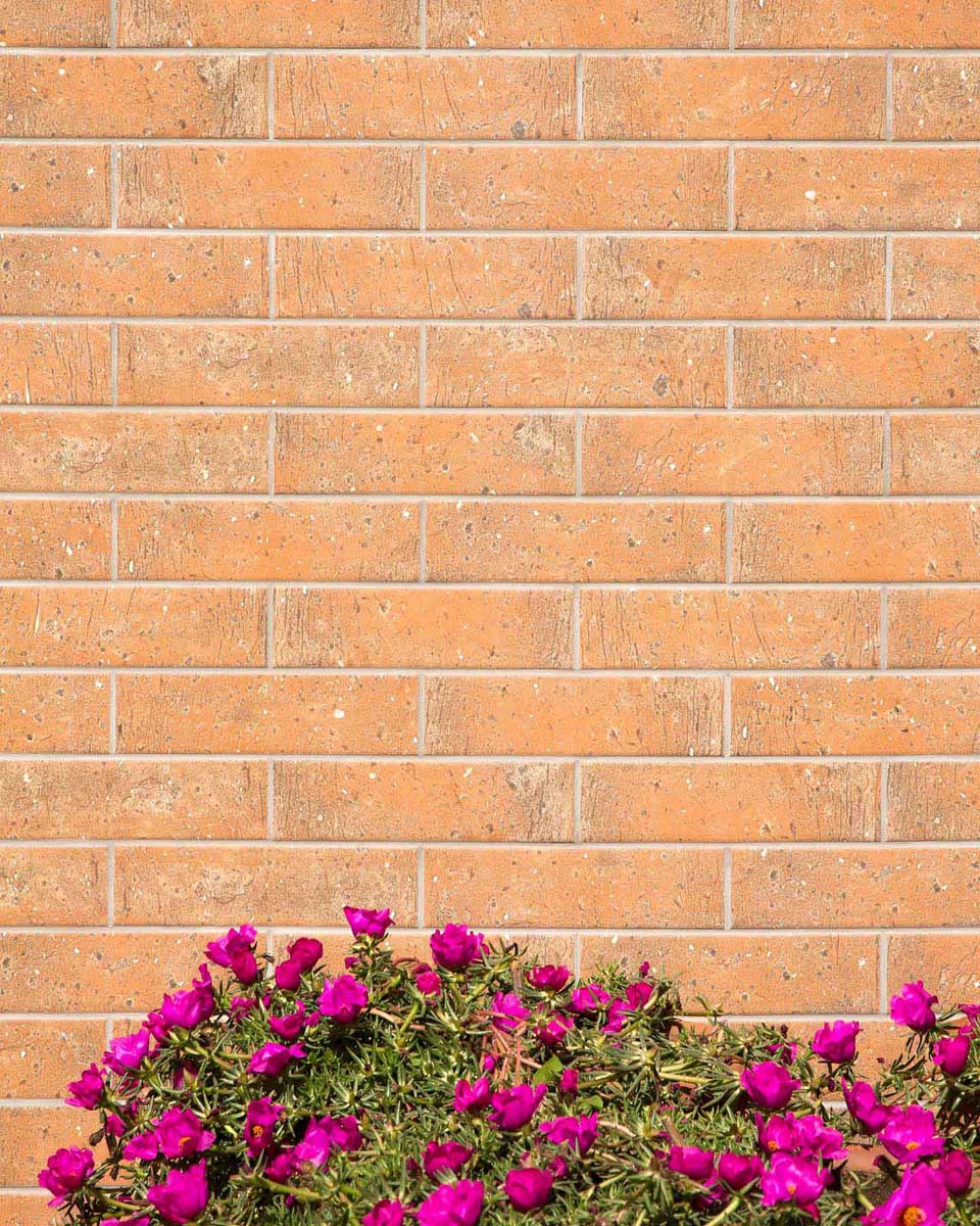 OMD-14984-MASSA 26X29CM WALL/MT SPAIN BX=1.06M2=11.41SF