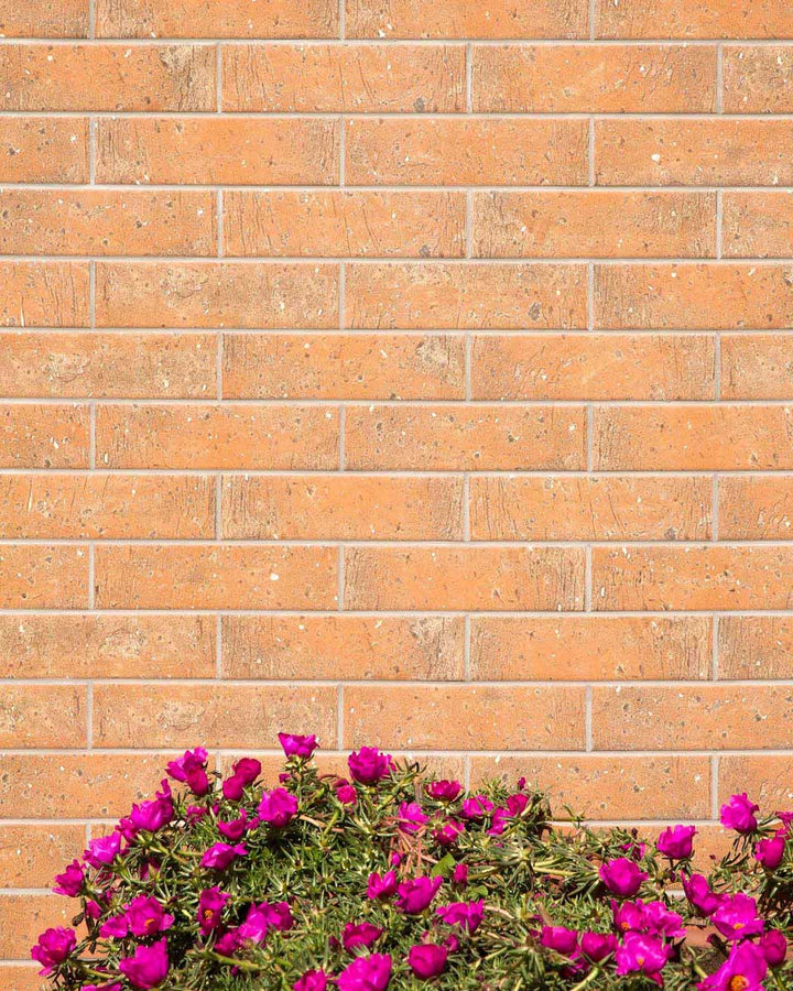 OMD-14984-MASSA 26X29CM WALL/MT SPAIN BX=1.06M2=11.41SF