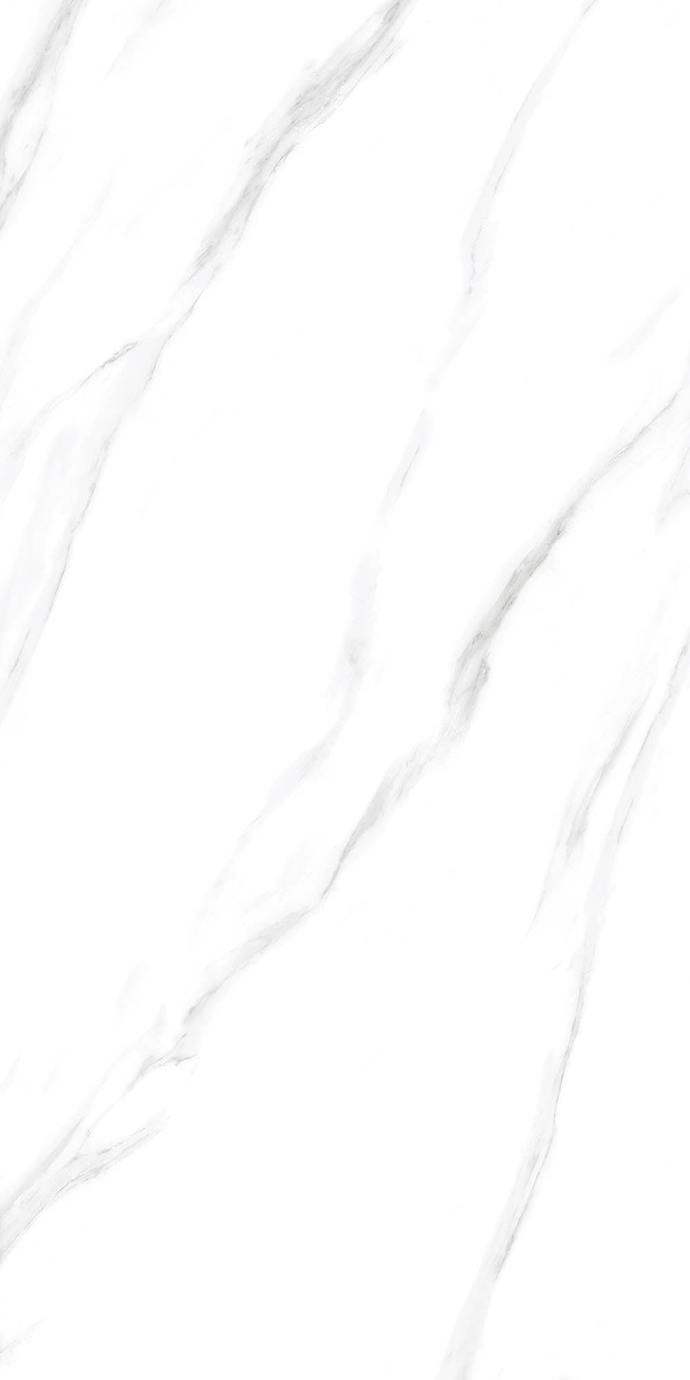 SENSO WHITE GLOSSY 60X120cm POR/GL/PL INDIA BX=1.44M2=15.5SF